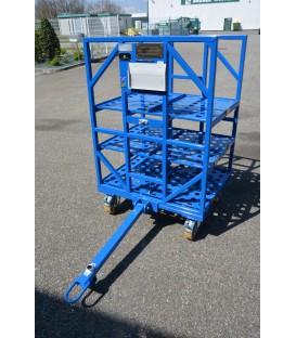 CHARIOTS PANOPLIES EPINGLES P40 G